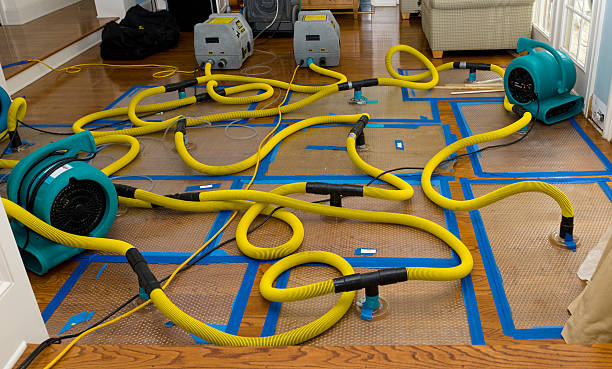 Professional Flood Damage Restoration technician working in Snohomish, WA